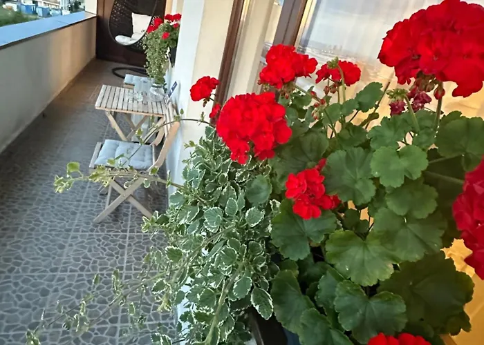 Wonderful View Apartment