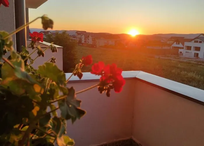 Wonderful View * Cluj-Napoca